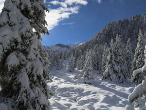 Val di Fiemme 