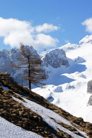 Ledovec Marmolada v Itálii